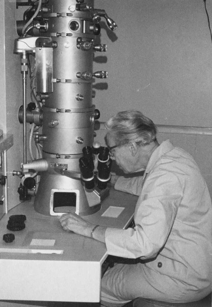 Plant anatomist Dr. Katherine Esau peering into the screen of a transmission electron microscope. 