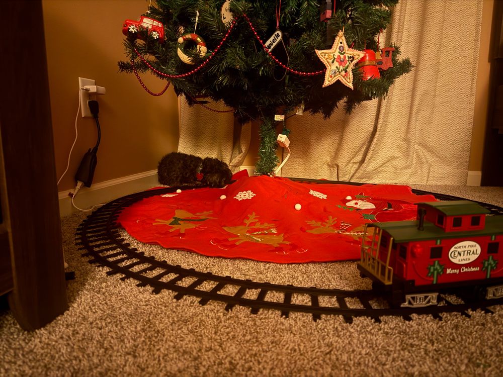 dog sleeping under a christmas tree