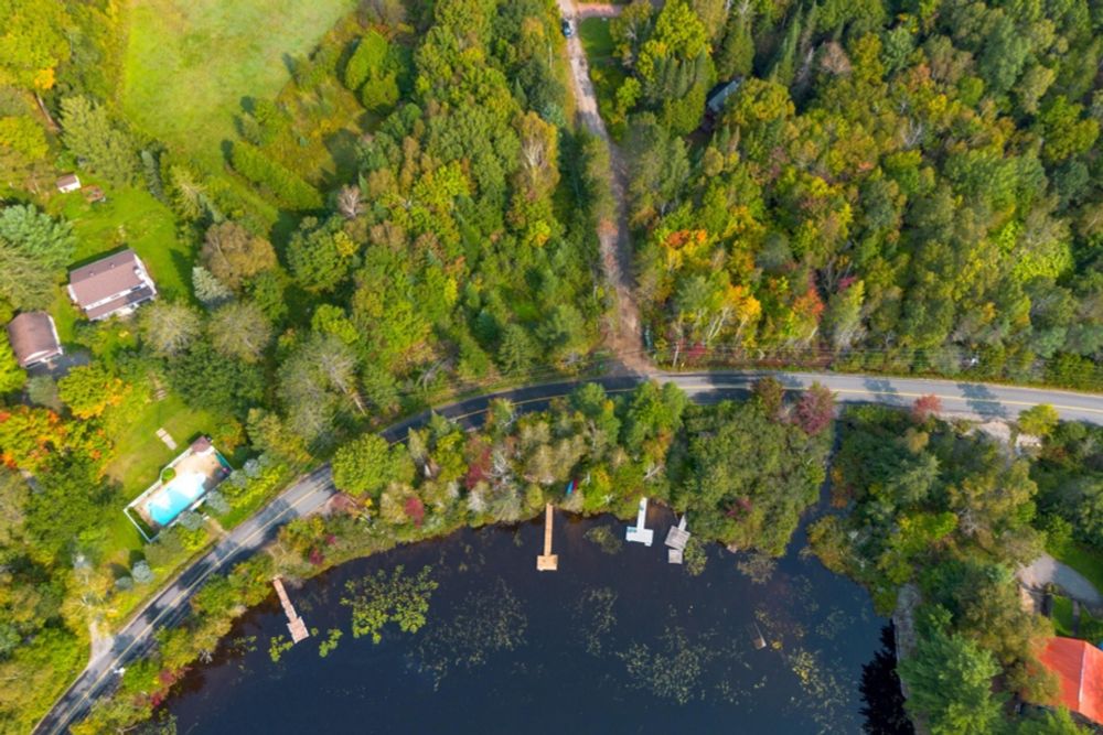 Achat d’une forêt par une école privée | Drainville réclame des « vérifications », QS l’intervention de la VG