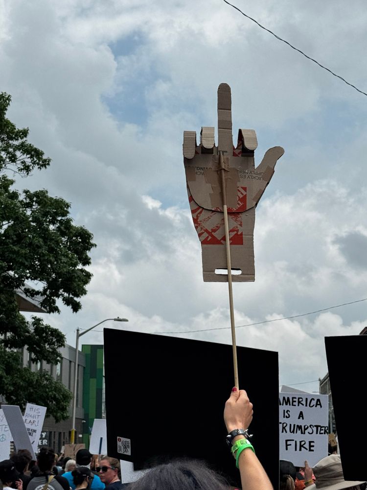 Protest sign of a middle finger