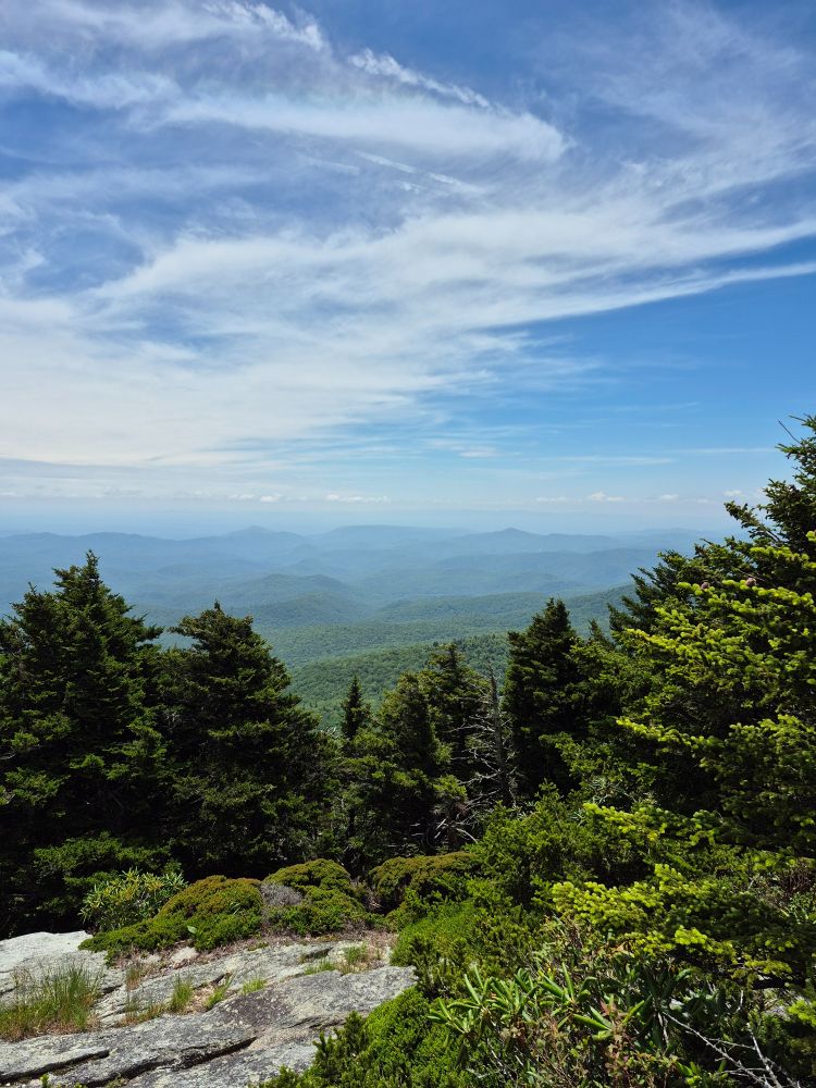 The view is of beautiful mountains in North Carolina.