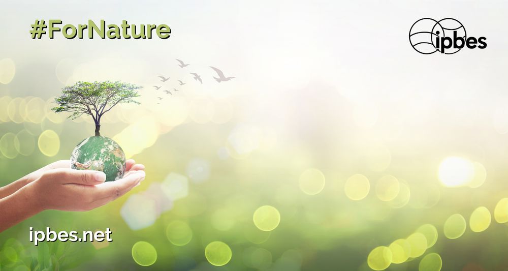 Hand holding a world with a tree growing out of it. The IPBES logo is in the top right hand corner, and the hashtag For Nature is in the top left