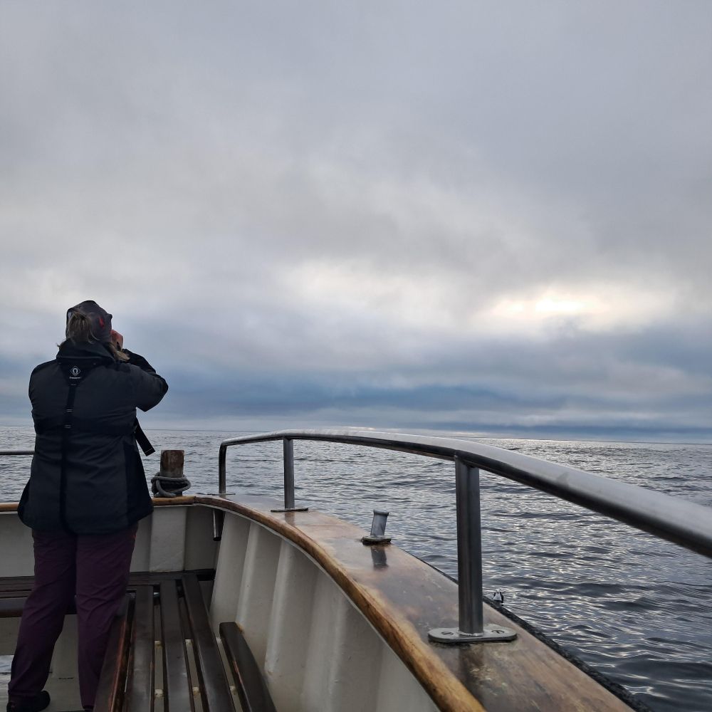 A colour image of a person standing at the back of a boat looking out to sea using binoculars copyright Bryony Baker