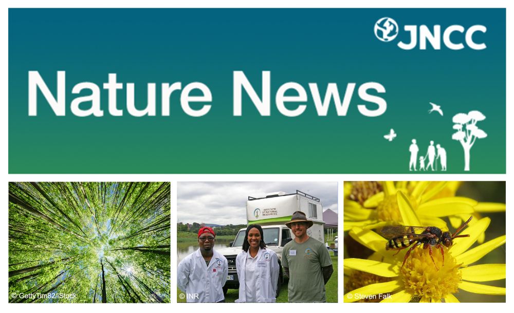 A colour image of the Nature News heading with the JNCC logo and illustrations of a butterfly, bird, four people and a tree. Three images are below showing (left to right) a tree canopy, three people standing in front of the mobile laboratory and a Variable Nomad Bee (Nomada zonata) on a yellow flower