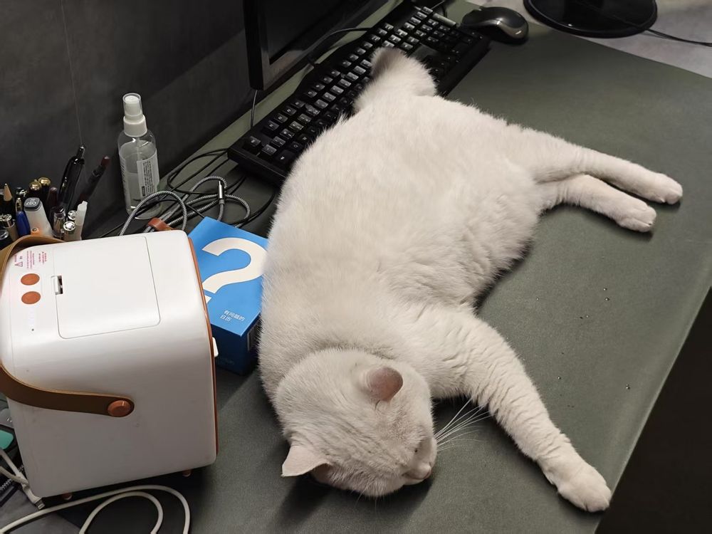 A fluffy white cat is sprawled out comfortably on a desk, partially covering a computer keyboard. The cat is lying on its side, appearing relaxed or asleep. To the left of the cat is a small, white air purifier with brown accents, featuring buttons and a vent on top. Behind the air purifier is a blue box with a large white question mark on it, along with some pens, cables, and a spray bottle. The background includes a monitor, mouse, and a generally cluttered but cozy workspace environment.
