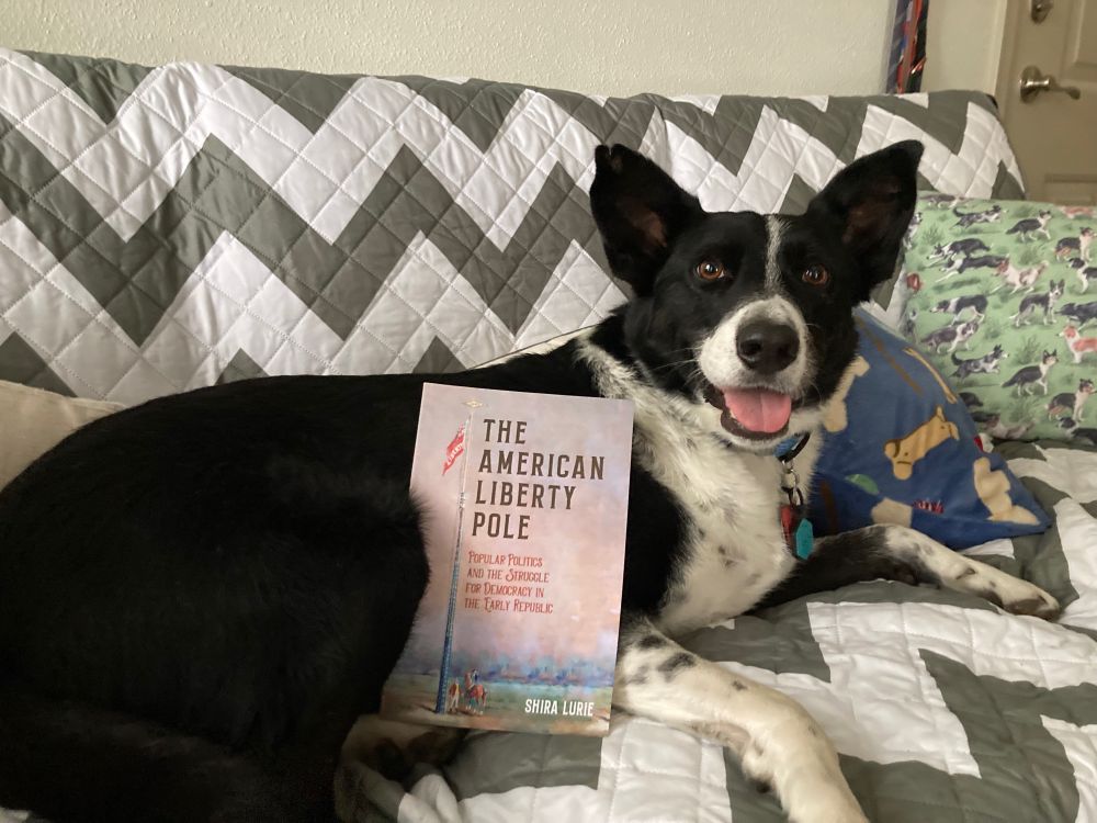 Border Collie with Book