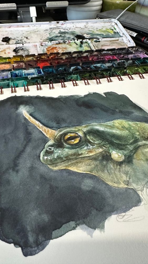 Photo of a watercolor sketch in a spiral bound sketchbook of a green unicorn toad