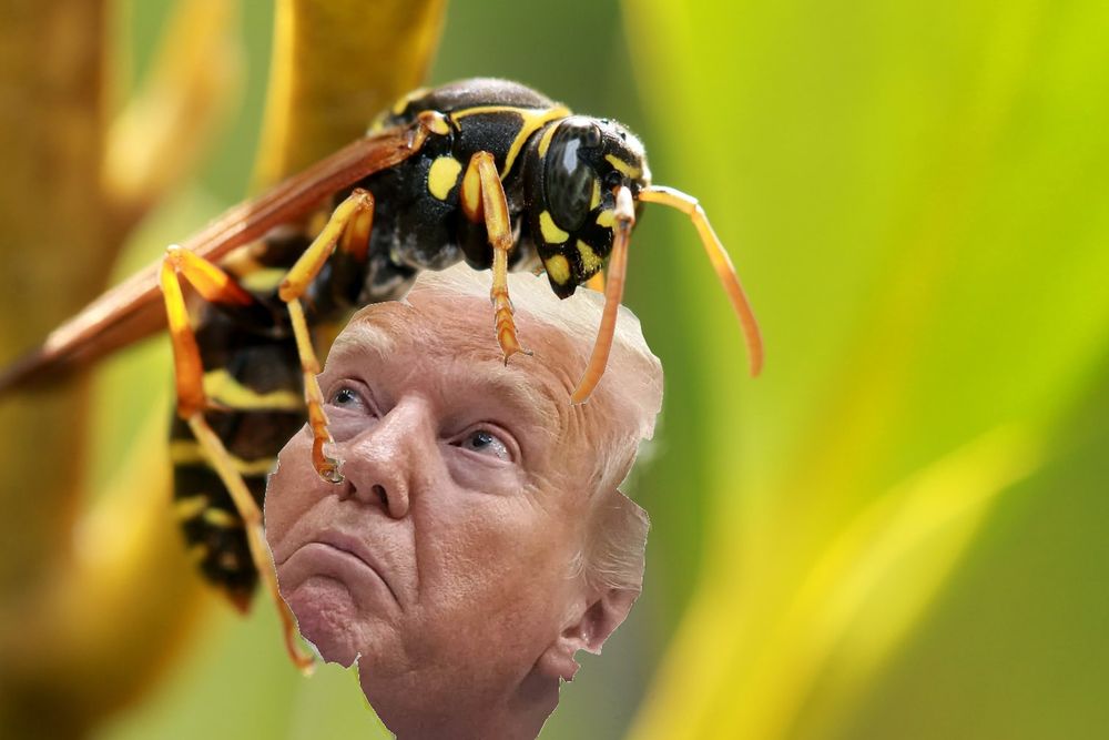 You can smell the rot.