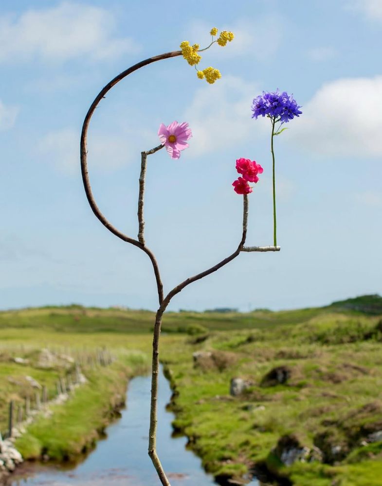 A simple but sculptural twig structure, each branch topped with 4 different single flowers 