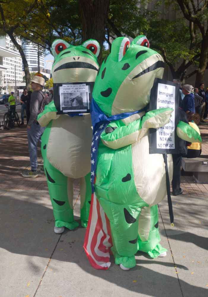 Protest frogs in Toronto