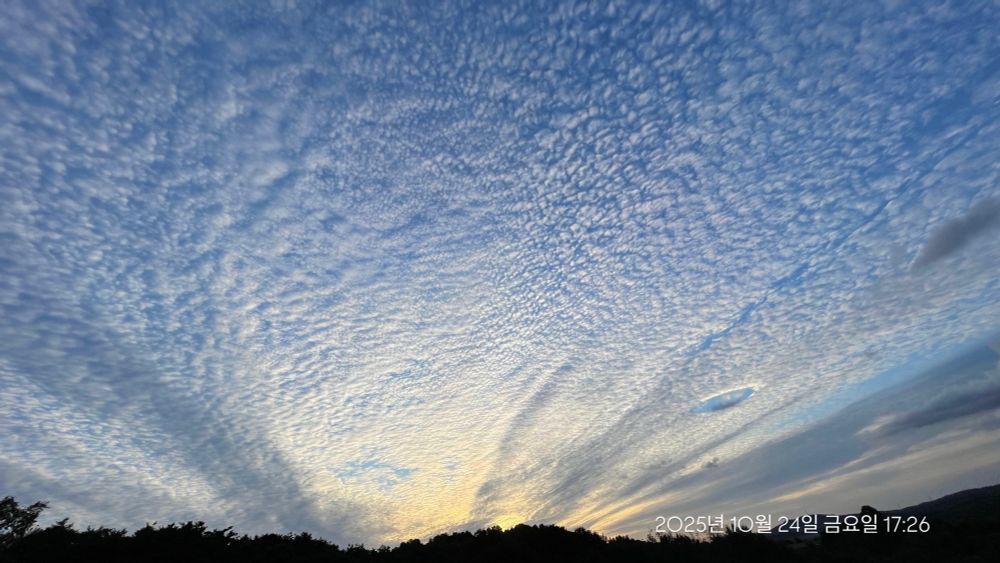2025년 10월 24일 금요일 17:26
해질무렵 서쪽하늘 가득 새털구름이 깔려있다