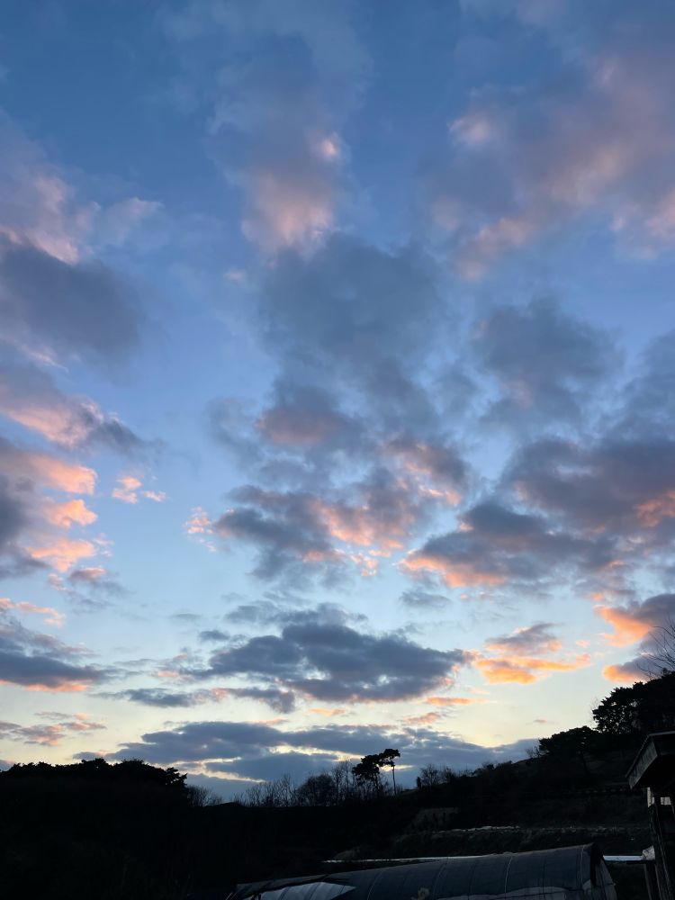 탄핵소추안 가결 후 & 해지기 전, 서쪽 푸른 하늘
After passing the impeachment bill & before sunset, blue sky in the west