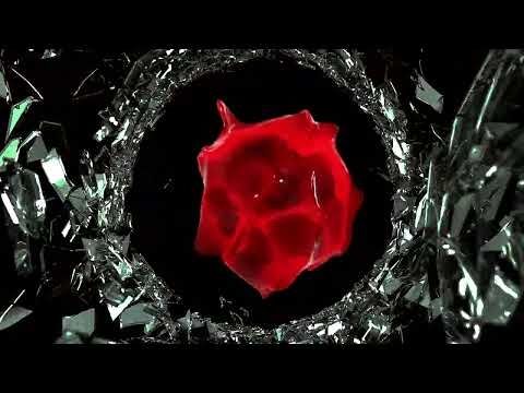 Nine Stones Close - Angel Of Flies
