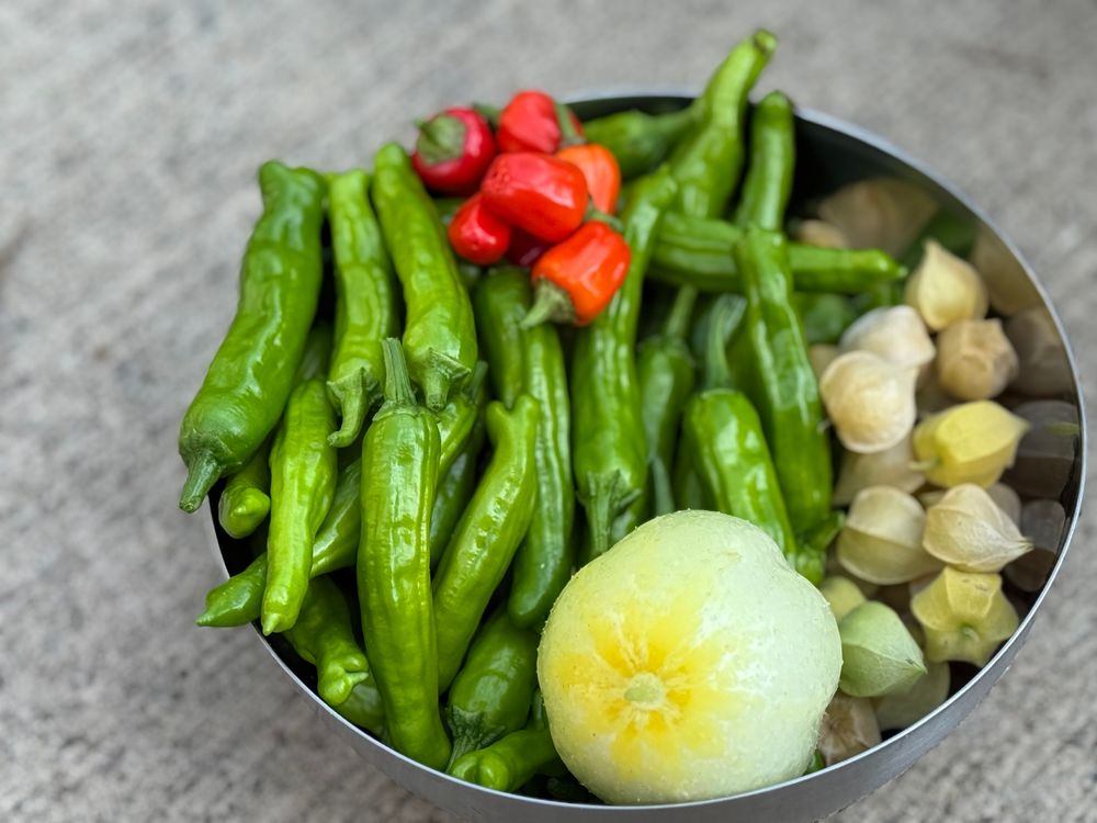Bowl of stuff cut from the garden
