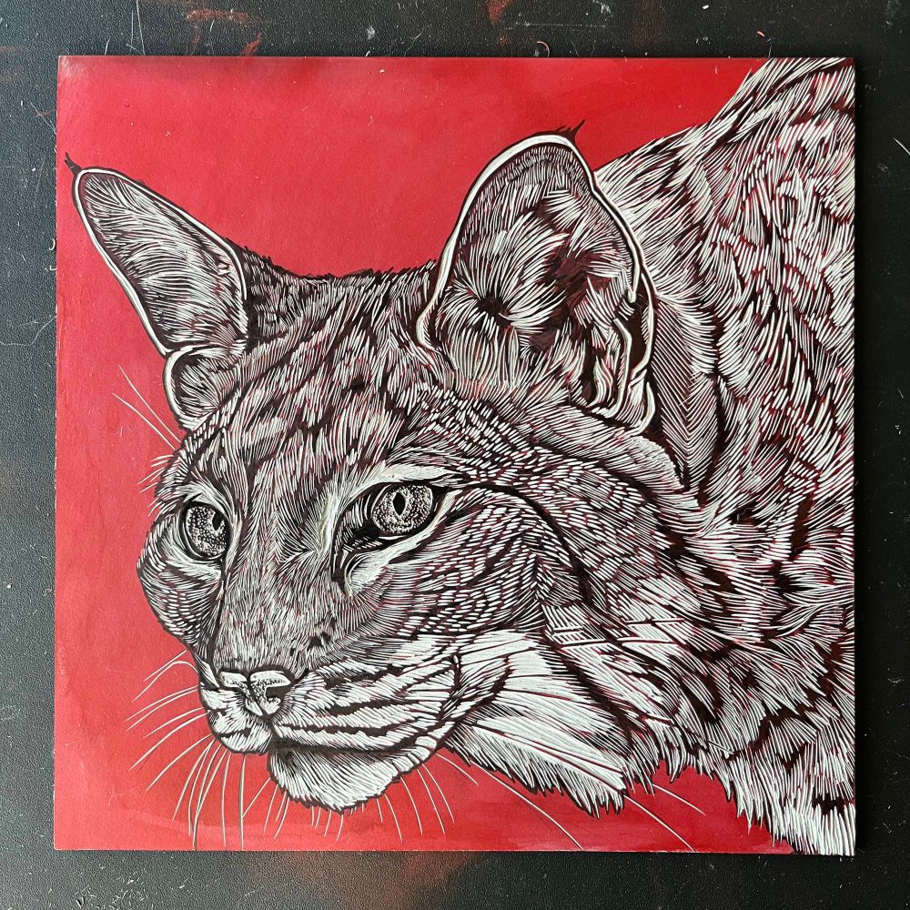 Linocut block of a bobcat 