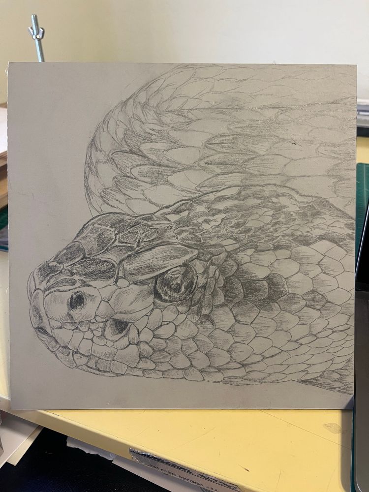 Battleship gray linoleum block with a rattlesnake drawn on it in pencil.