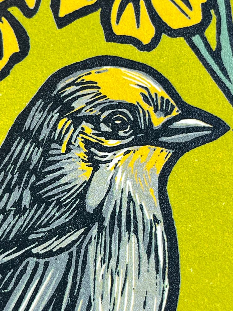 Close up of a bird face 
