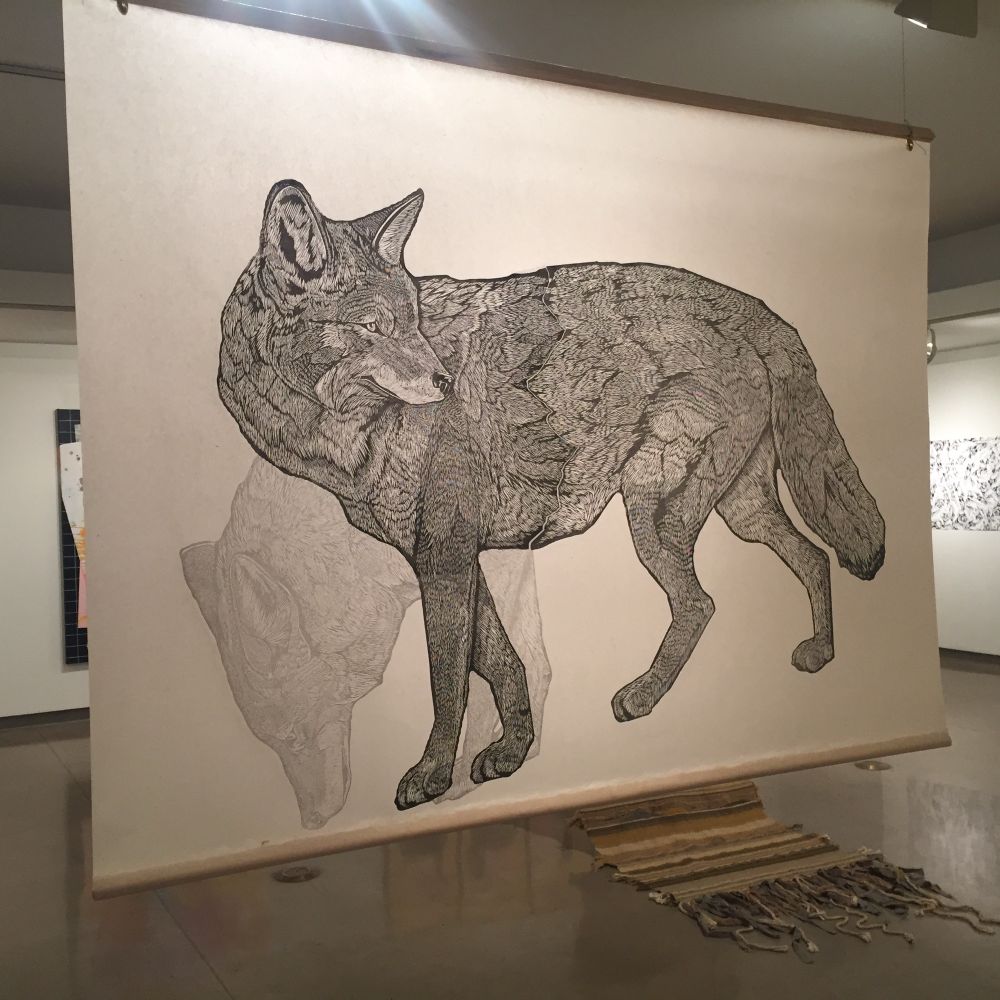 Print of Coyote in gallery 