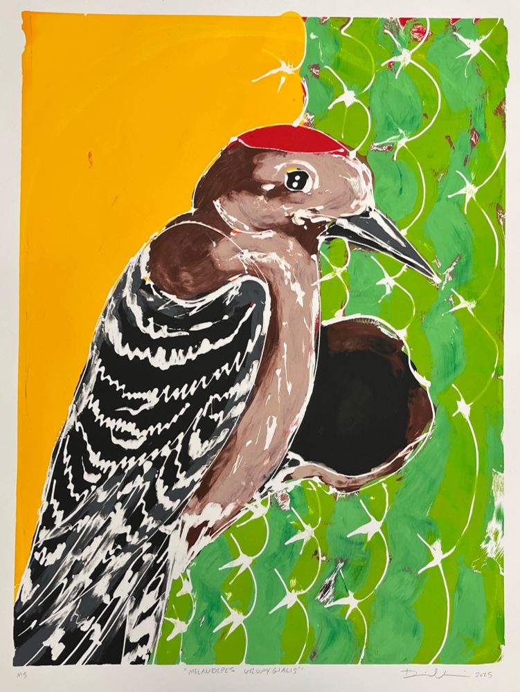 A monotype of a gila woodpecker on a cactus against a yellow background 