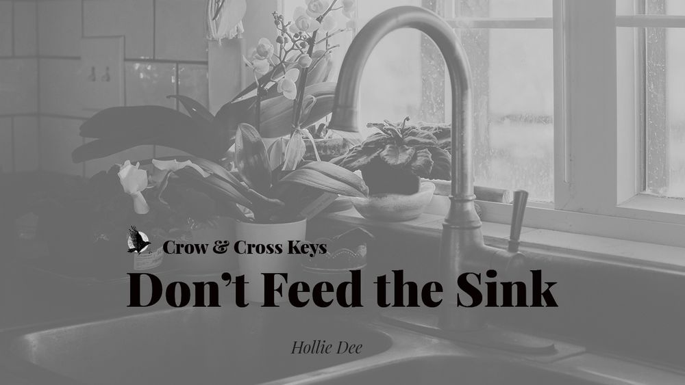 A muted greyscale banner for flash fiction, Don't Feed the Sink by Hollie Dee published on crowcrosskeys.com, featuring a photo of a sink with houseplants situated in front of a bright window.