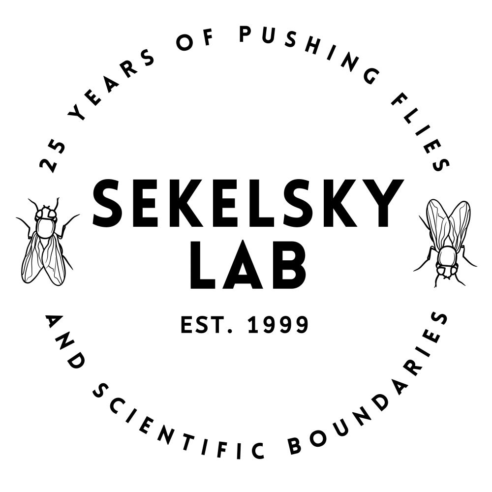 Logo for Sekelsky Lab 25th Anniversary. Tagline: 25 years of pushing flies and scientific boundaries.
