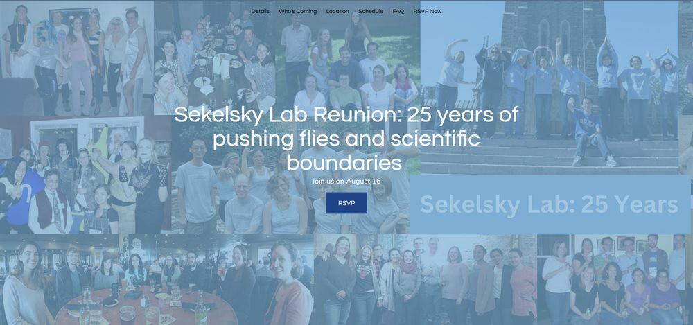 Screenshot of Sekelsky Lab 25th Reunion website