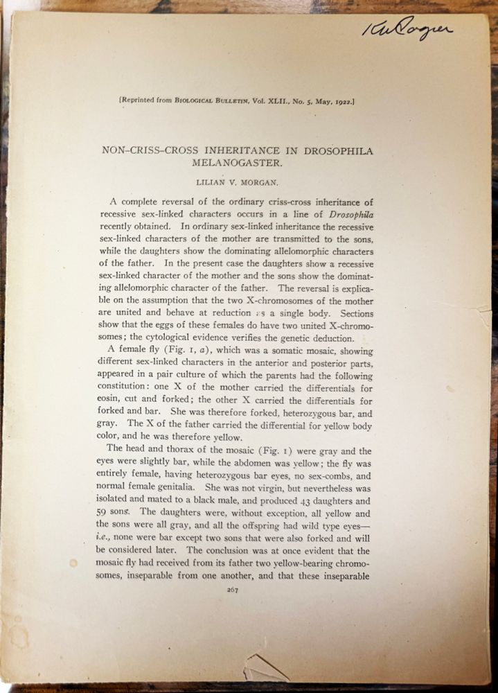 Reprint of LV Morgan's "Non-cross-cross inheritance in Drosophila melanogaster" (1922)