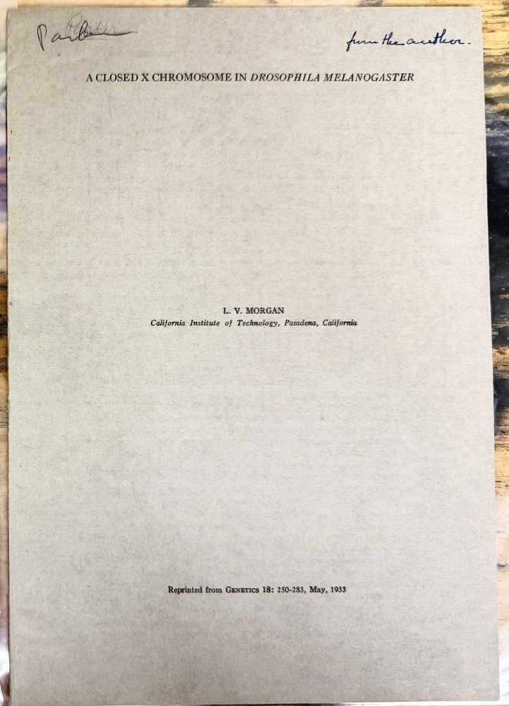 Reprint of LV Morgan's "A closed X chromosome in Drosophila melanogaster" (1933)