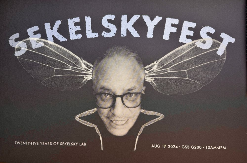 Screen-printed poster by Bob Goldstein, for Sekelsky Lab Reunion. He titled it SekelskyFest and made an image of Jeff's head with fly legs and wings.