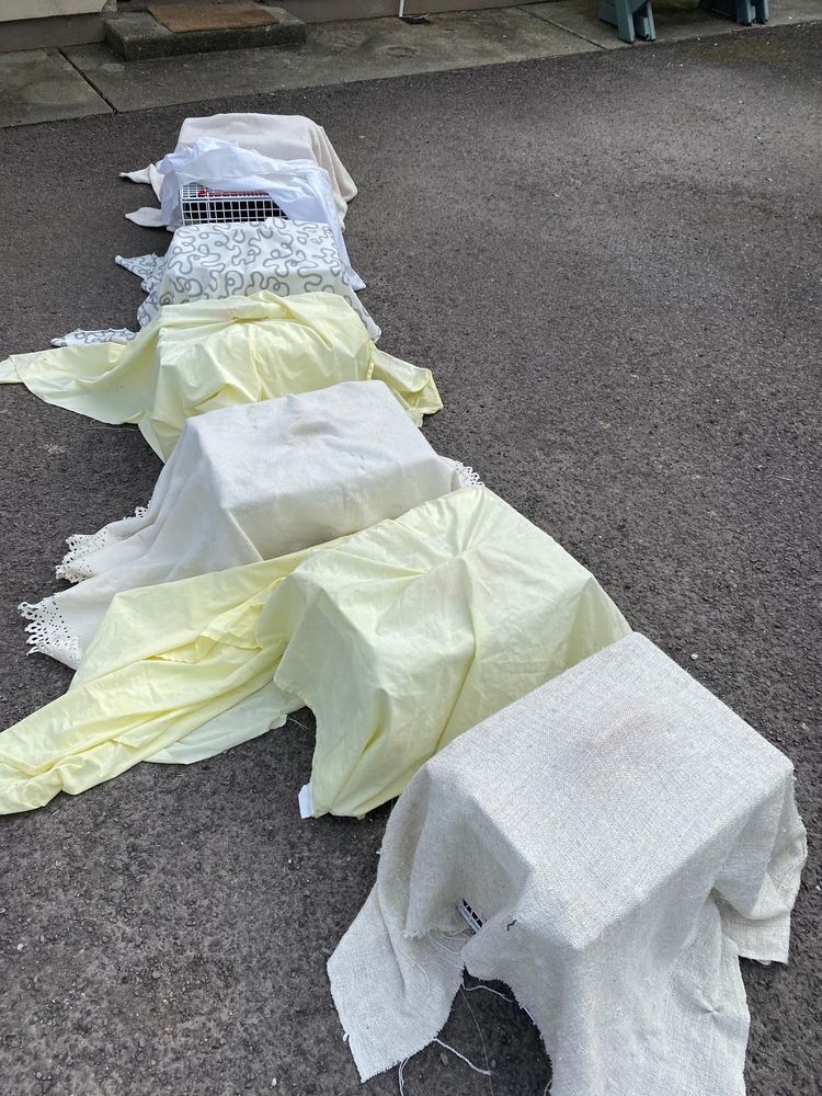 Seven covered cat carriers on the ground. Each carrier contains a cat which has been neutered and is being returned to its caregivers home. Part of a trap, neuter, return scheme in west cork Ireland 