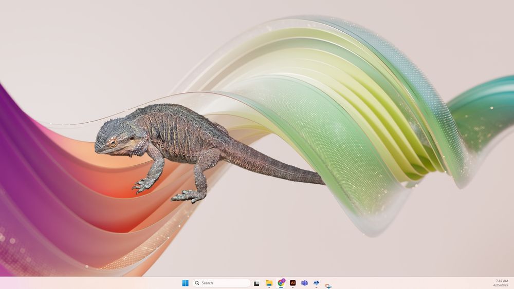 A screenshot of my work desktop, which is one of the default Windows 11 backgrounds with a bearded dragon photoshopped into it 