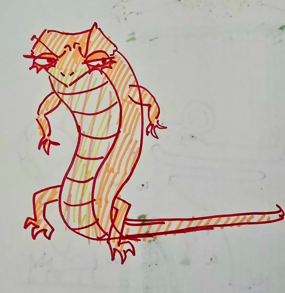 Bearded dragon 