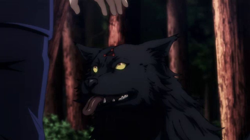 a person is petting a black dog with red eyes