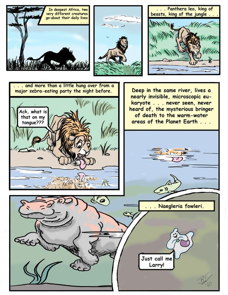 A multi-panel comic (page one of four) introducing a lion on the African savannah, and a brain-eating amoeba named Larry.