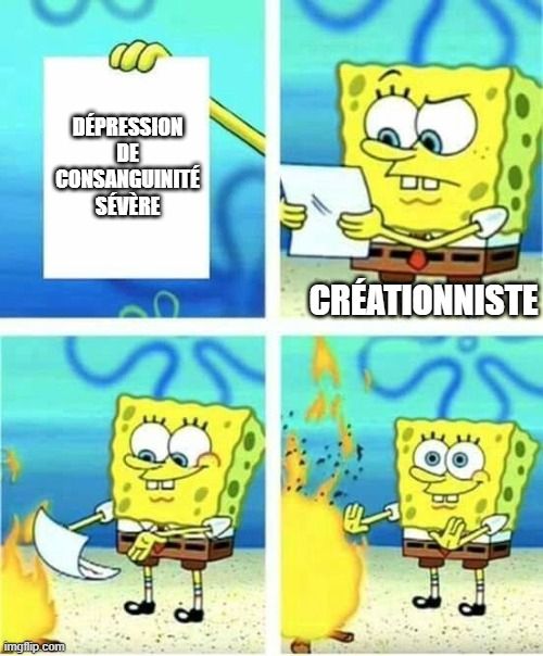 Meme bob l'éponge (créationniste) qui lit une feuille sur laquelle il est écrit "dépression de consanguinité sévère" d'un air contrarié puis la jette dans le feu, satisfait.