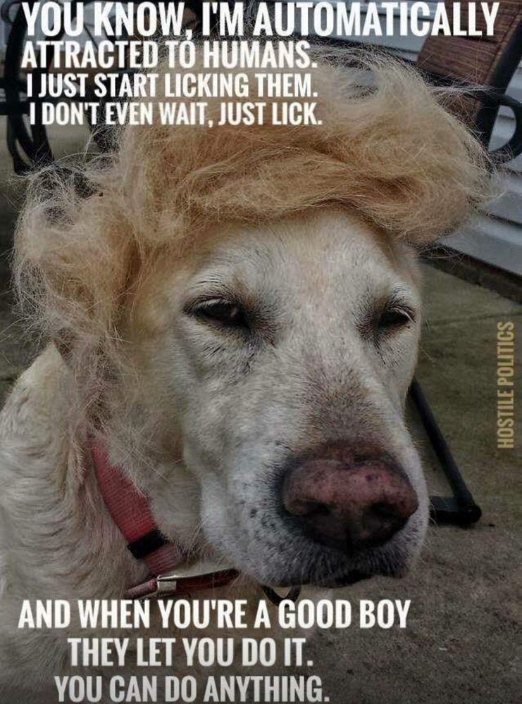 Comment image