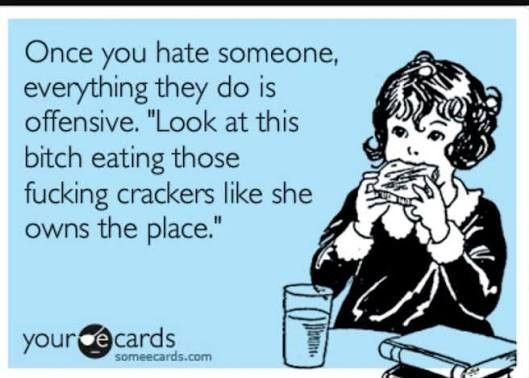 I never learned what these things are called. "ecards"? "your ecards"? "some ecards"? Anyway, this one says "Once you hate someone, everything they do is offensive. 'Look at this bitch eating those fucking crackers like she owns the place.'"