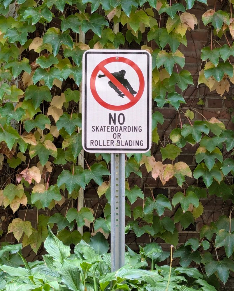 Sign saying "No skateboarding or rollerblading" with a silhouette of a skateboarder doing a wicked aerial trick behind a red circle with a diagonal red bar, indicating the aerial is indeed too wicked.