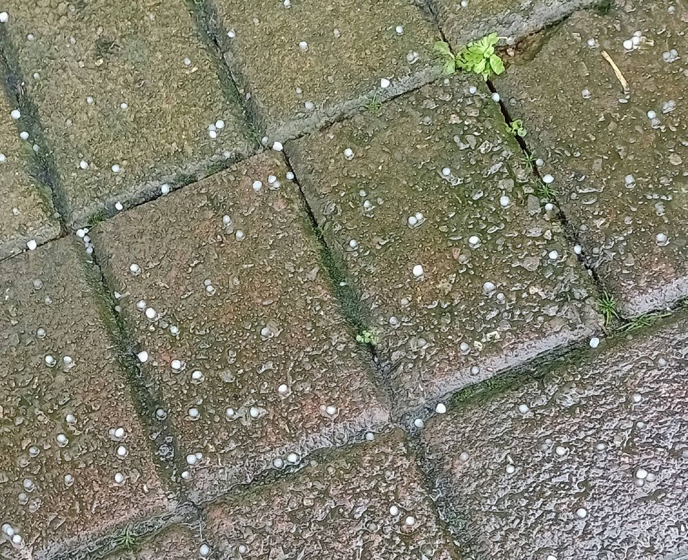 Brown brick-like paving, wet with rain/sleet, and a few tiny little hailstones