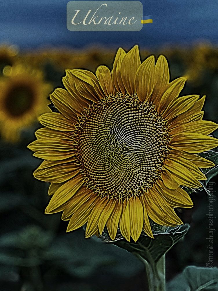 Comment image