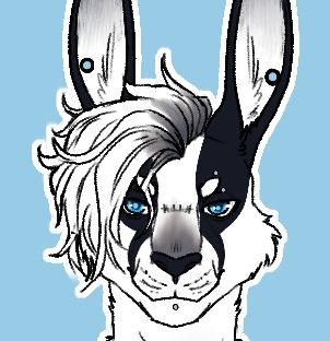 A headshot of Drew the Roo.