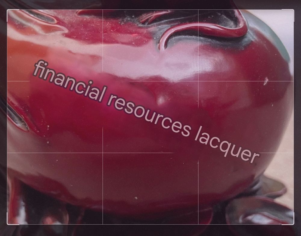 Google japanese translation "financial resources laquer"