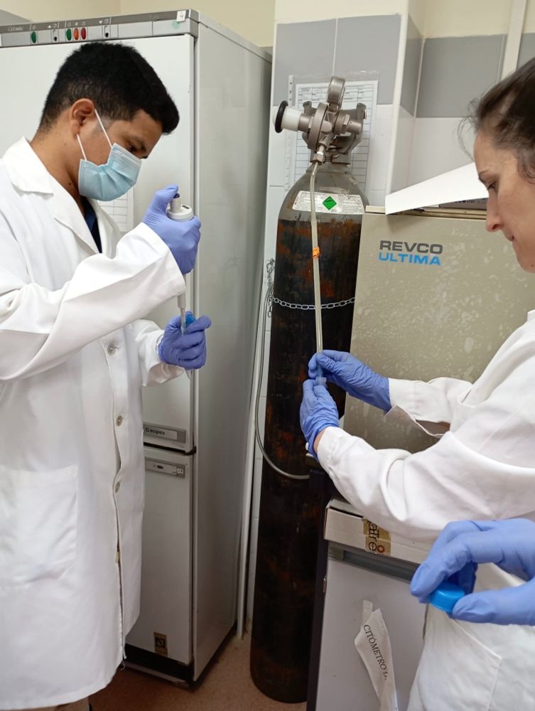 Investigadores del IRNASA-CSIC en el experimento.