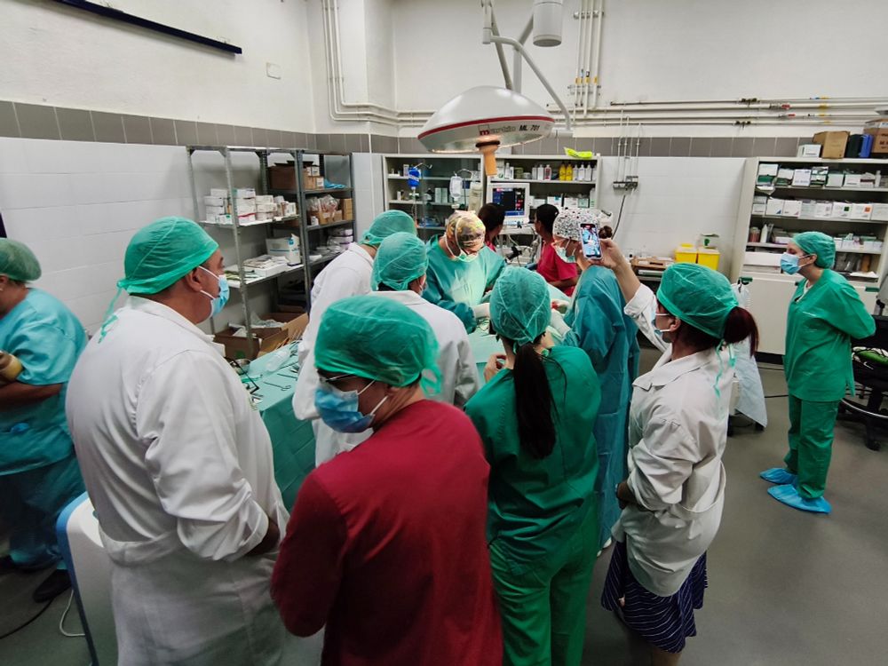 Un numeroso grupo de investigadores participa en el experimento en la Universidad de Córdoba.