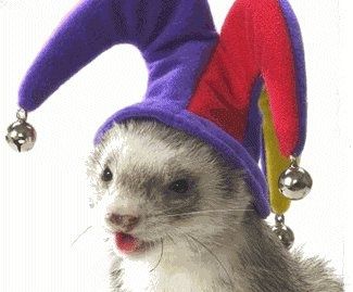 weasel in a jester hat smiling happy