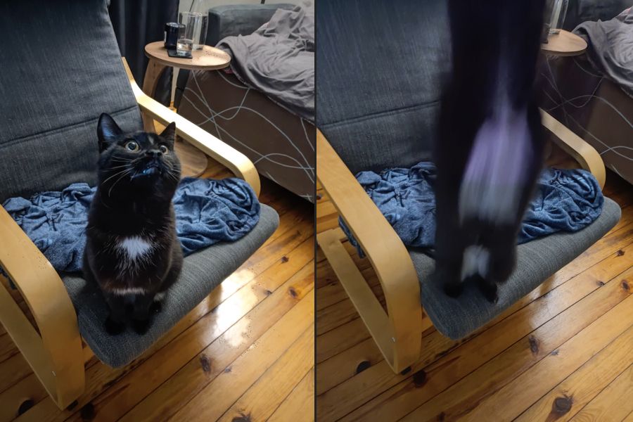 Blurry black cat caught mid-air looking like it just teleported into another dimension.