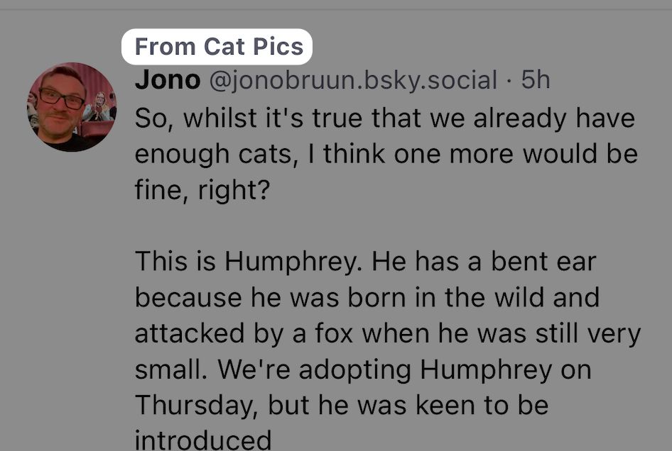 a screenshot showing a post from a feed in the following feed