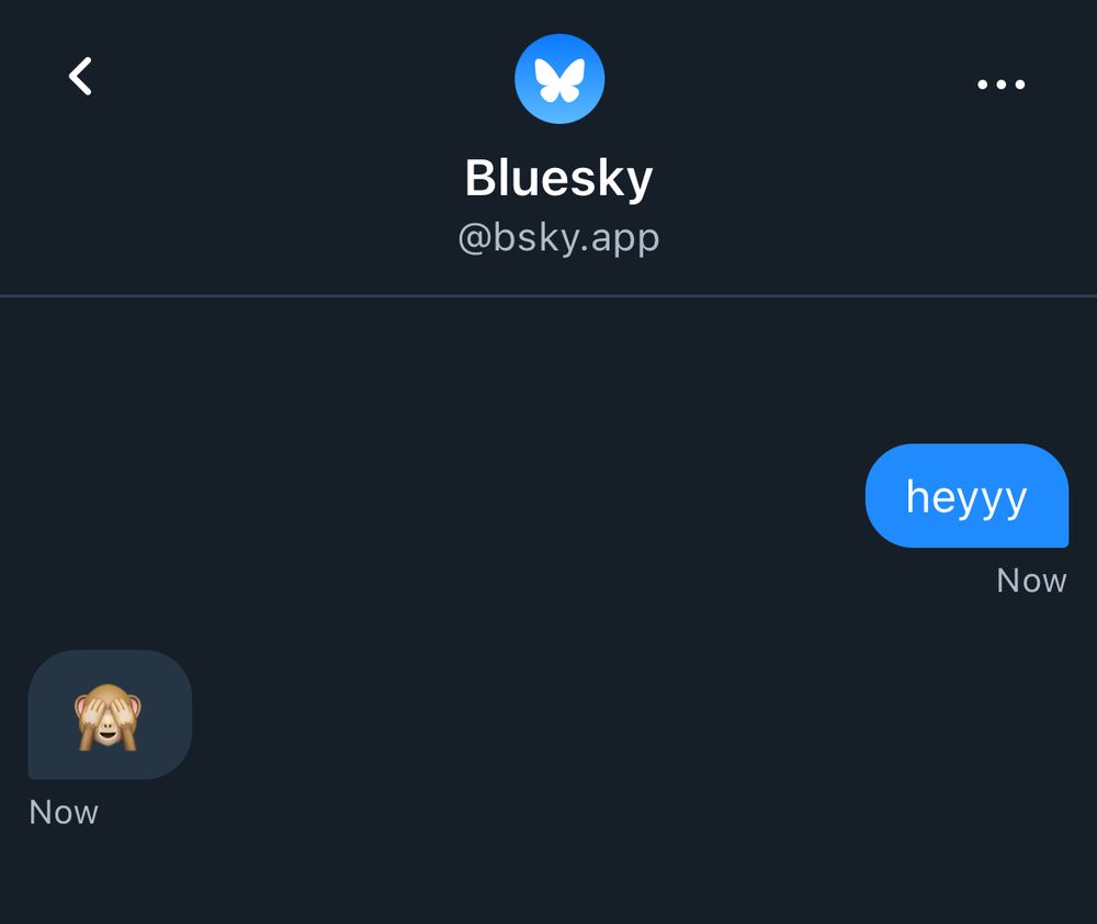 Screenshot of the DM interface in the Bluesky app. One message says “heyyy,” formatted in a blue bubble. The response is the monkey covering eyes emoji in a gray bubble.
