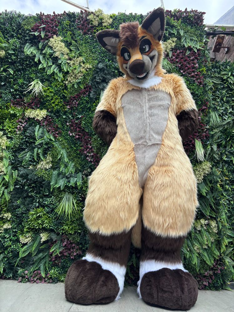 Folf stood with his paws behind his back with a leafy wall/backdrop looking down at the camera 