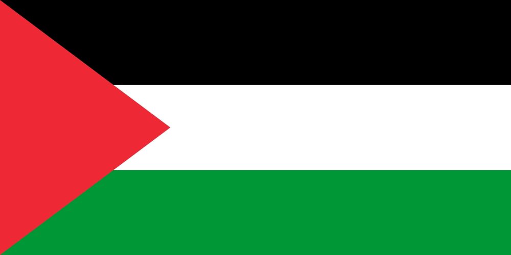 Drapeau Palestine 